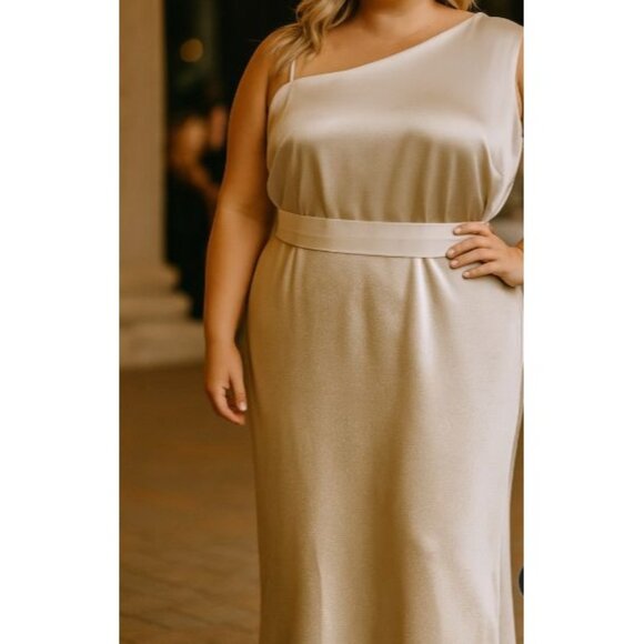 Birdy Grey One Shoulder Satin Maxi Dress Champagne 3X Formal Wedding Trendy Luxe - Picture 1 of 16
